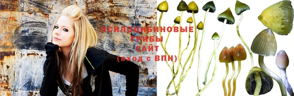 шишки Алексеевка