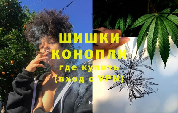 шишки Алексеевка
