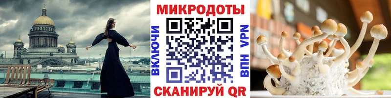 Псилоцибиновые грибы мицелий  где найти   Мегион 
