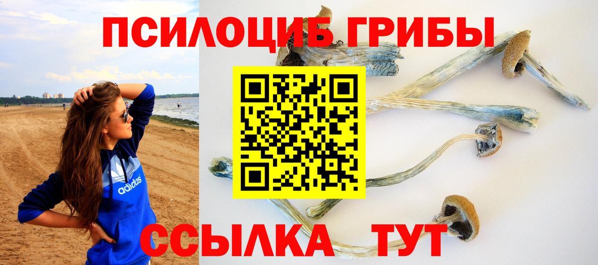 Галлюциногенные грибы Cubensis Мегион